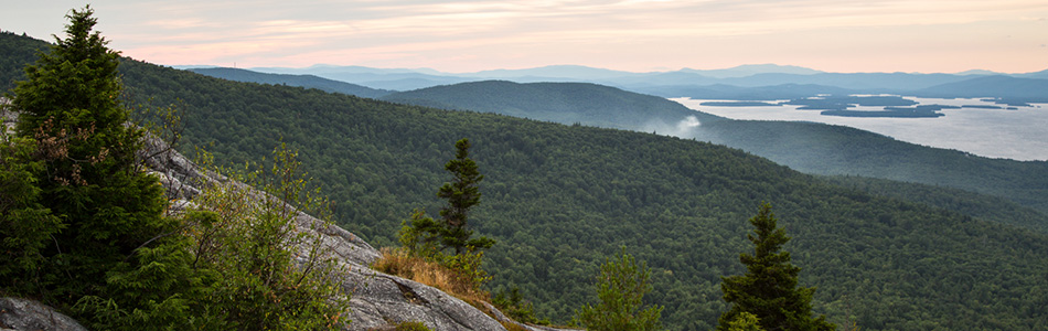 Truslow Resource Consulting